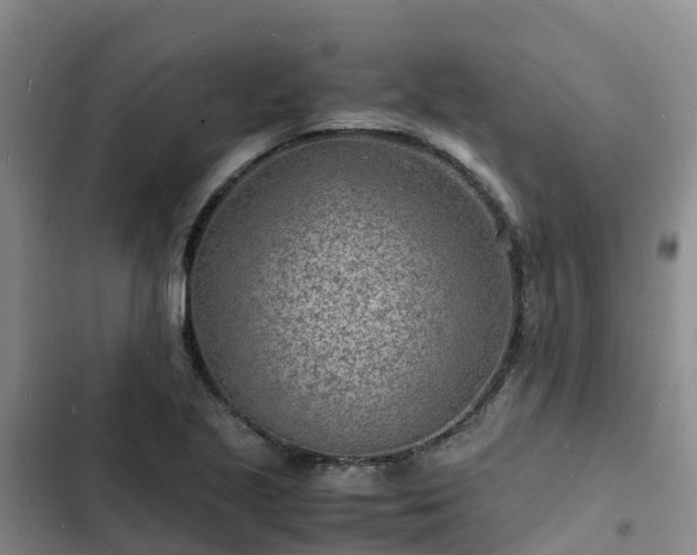 X0000102781221200808251108