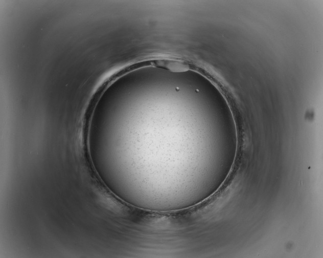 X0000102781222200808251108