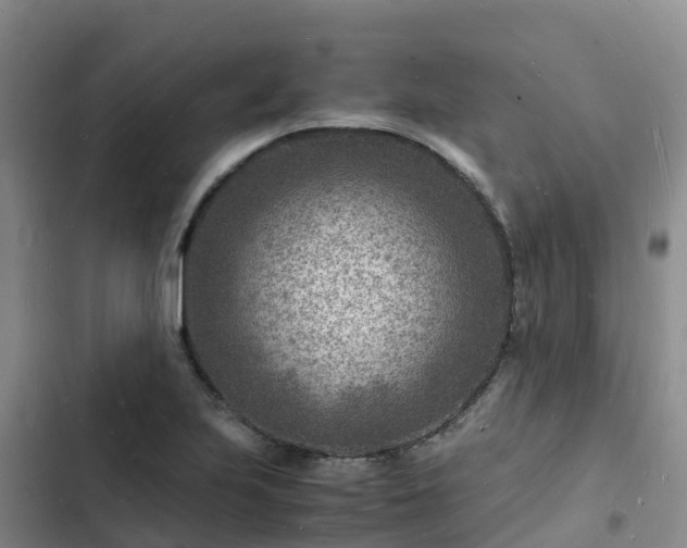 X0000102781223200808251108