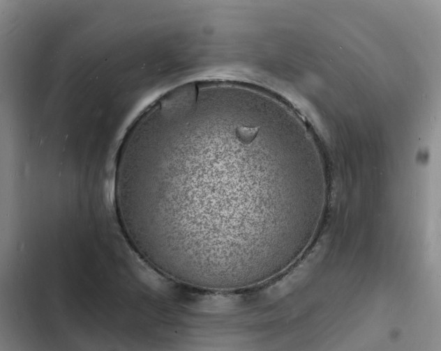 X0000102781224200808251108