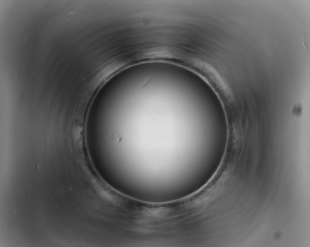 X0000102781225200808251108