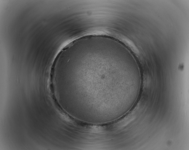 X0000102781226200808251108