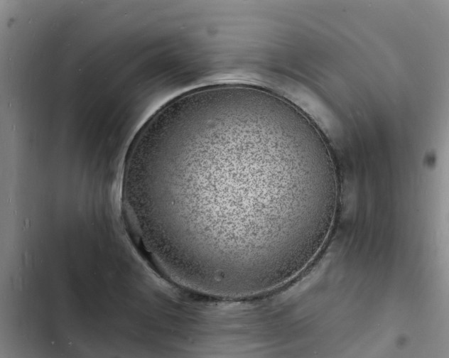 X0000102781228200808251108