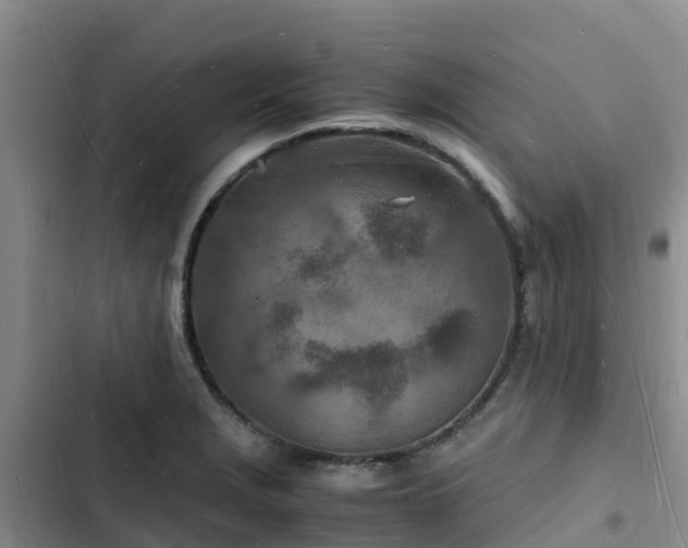 X0000102781229200808251108