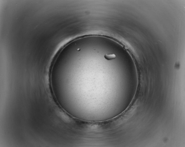 X0000102781230200808251108