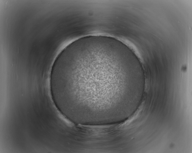 X0000102781231200808251108