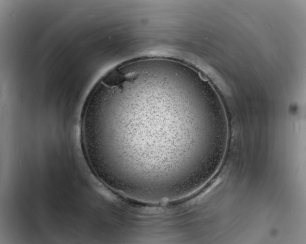 X0000102781232200808251108