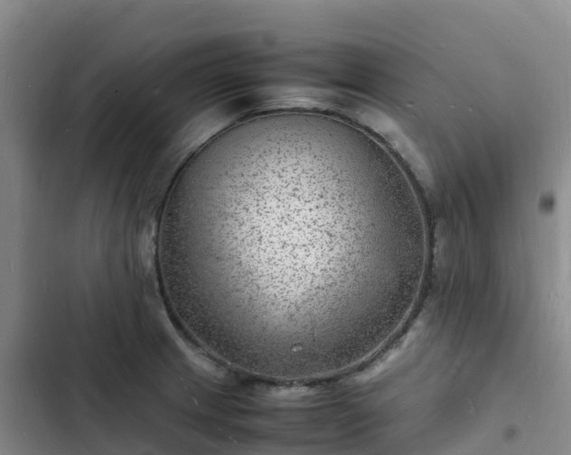 X0000102781233200808251108