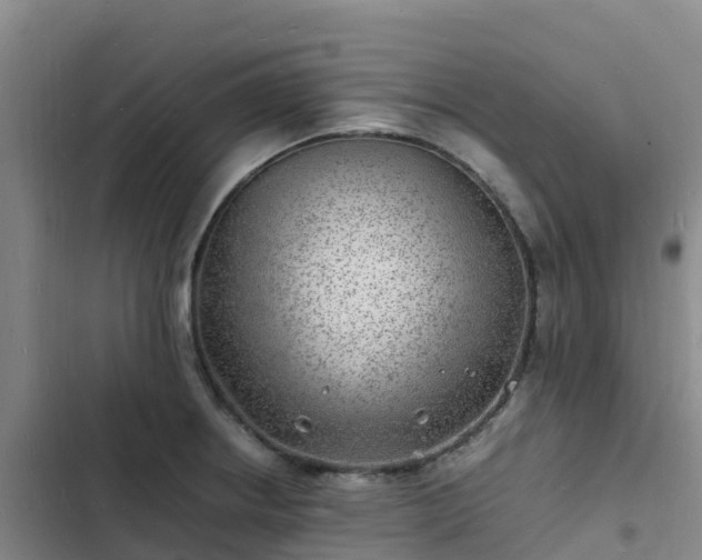 X0000102781234200808251108