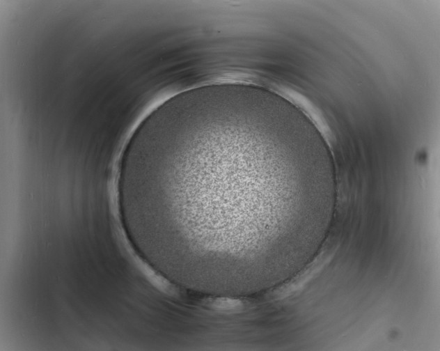 X0000102781235200808251108