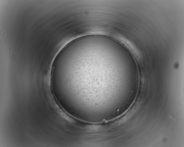 X0000102781236200808251108