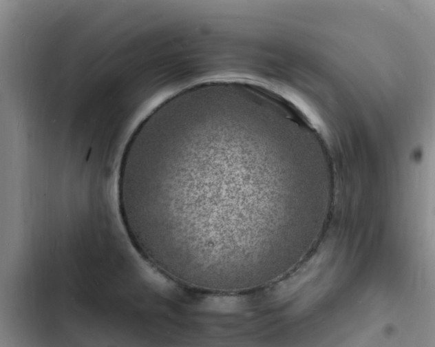 X0000102781237200808251108