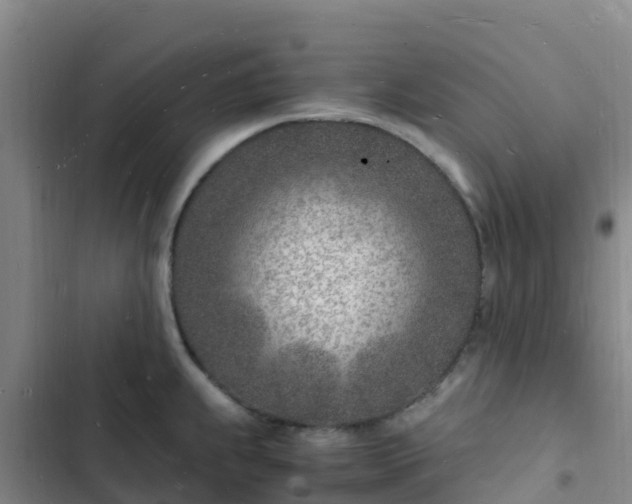 X0000102781239200808251108