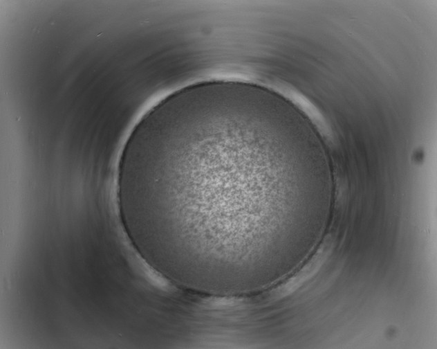 X0000102781240200808251108