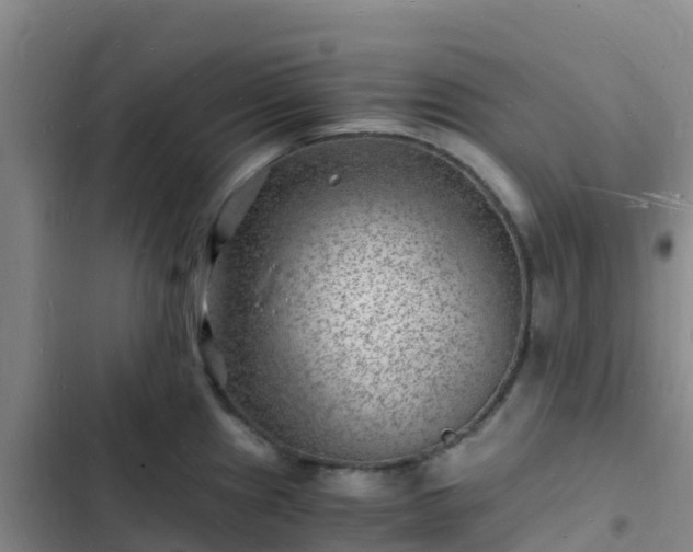 X0000102781241200808251108