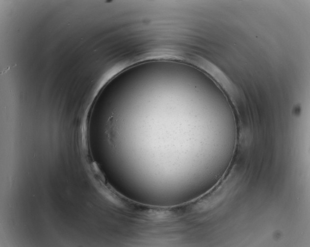 X0000102781242200808251108