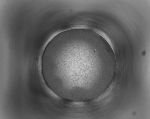 X0000102781243200808251108