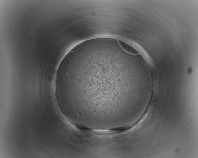 X0000102781244200808251108