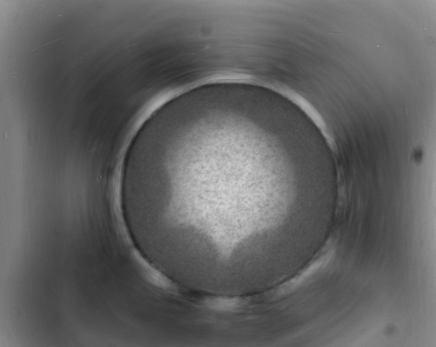 X0000102781245200808251108