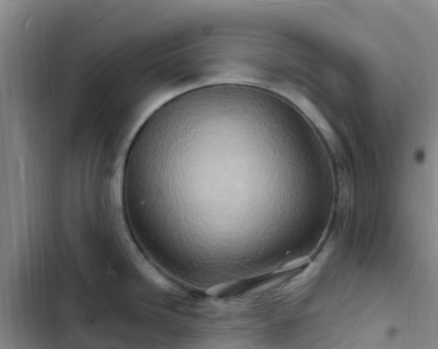 X0000102781246200808251108