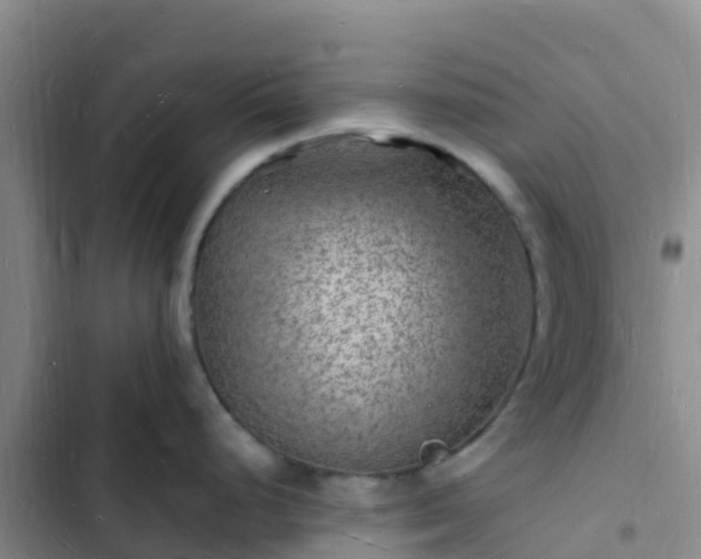 X0000102781248200808251108