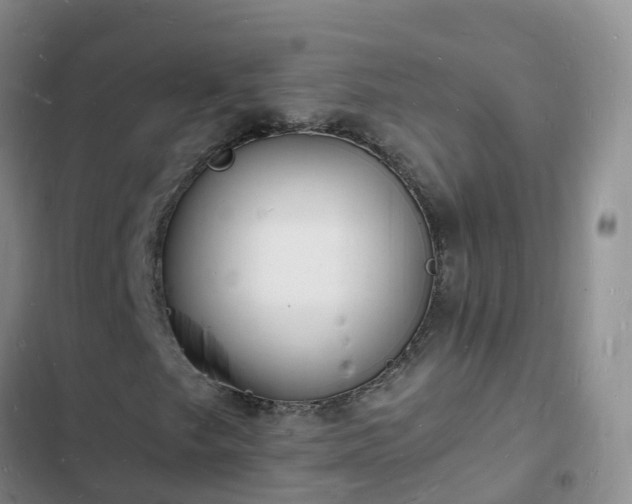 X0000102781249200808251107