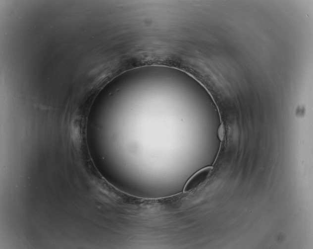 X0000102781250200808251107