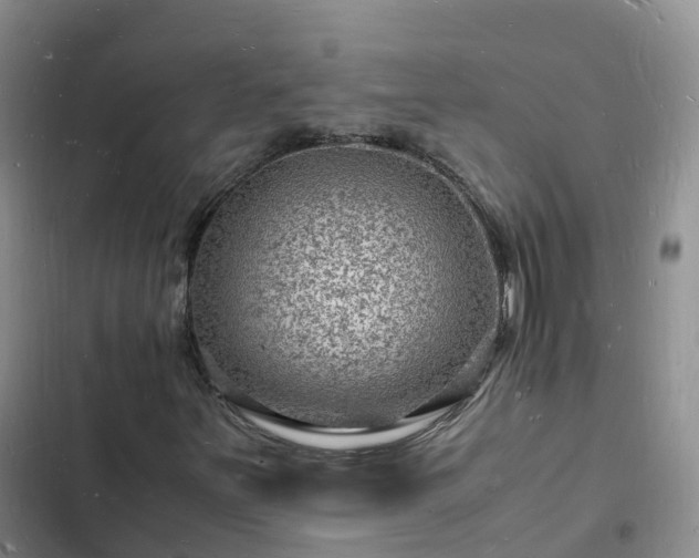 X0000102781251200808251107