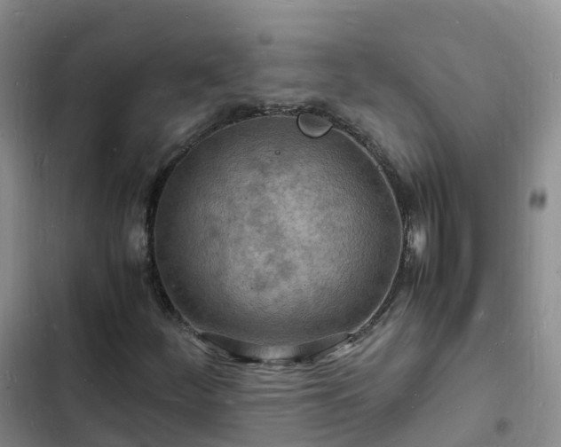 X0000102781252200808251107