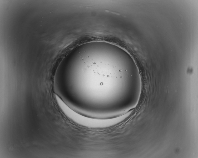 X0000102781253200808251107