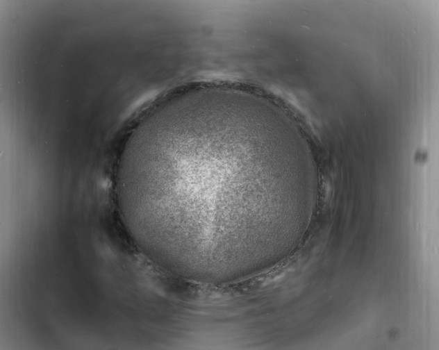 X0000102781254200808251107