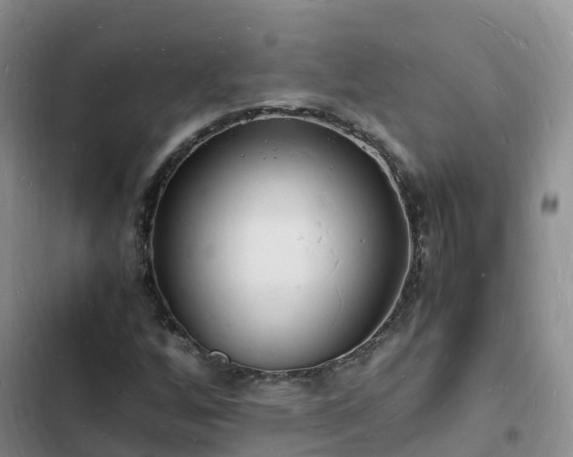 X0000102781256200808251107