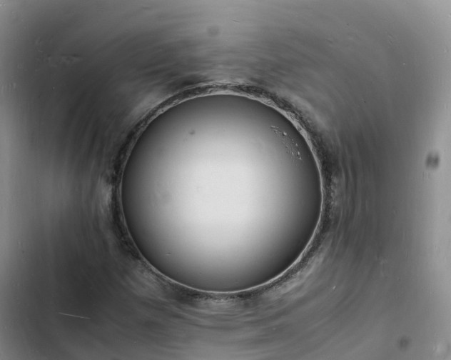 X0000102781257200808251107