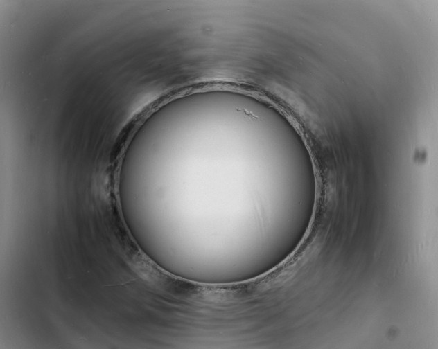 X0000102781258200808251107