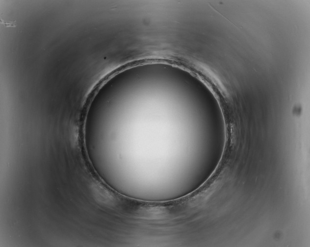 X0000102781260200808251107