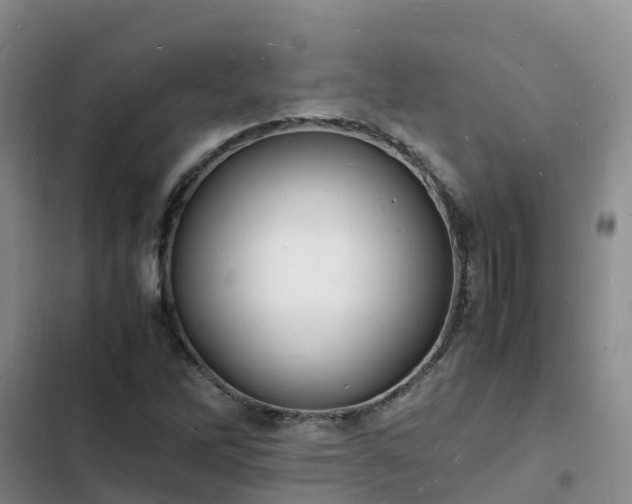 X0000102781262200808251107