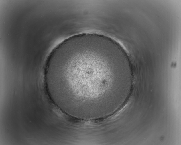 X0000102781263200808251107