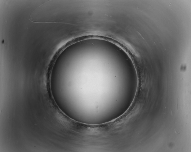 X0000102781264200808251107