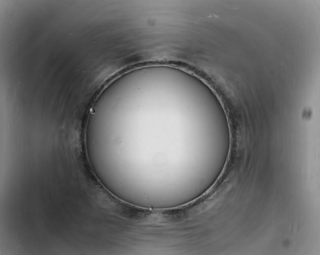 X0000102781265200808251107