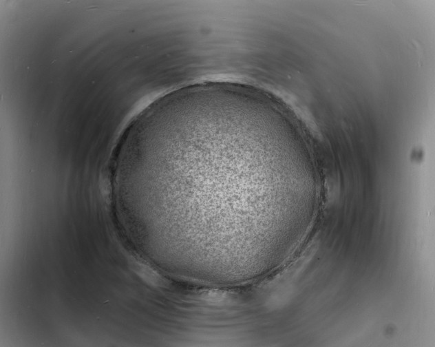 X0000102781266200808251107