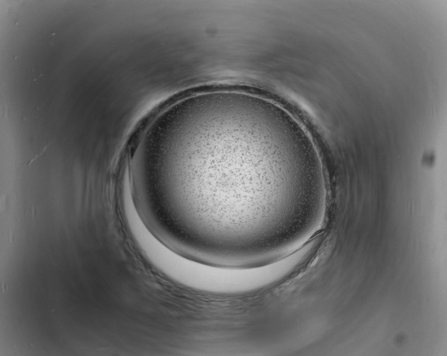 X0000102781267200808251107