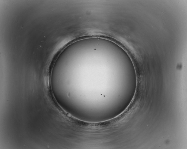 X0000102781269200808251107