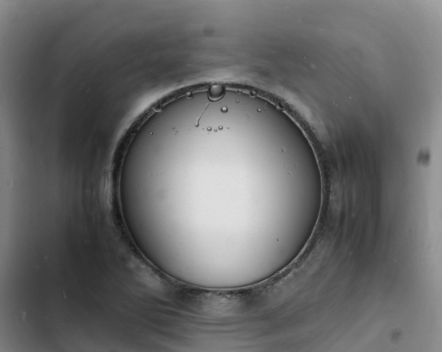 X0000102781270200808251107