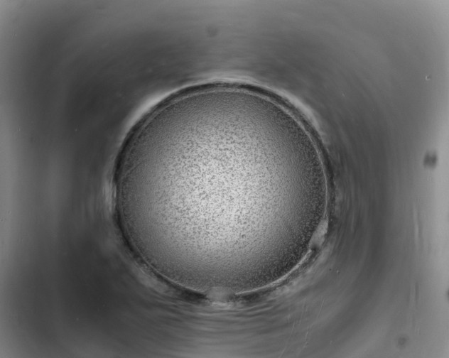 X0000102781271200808251107