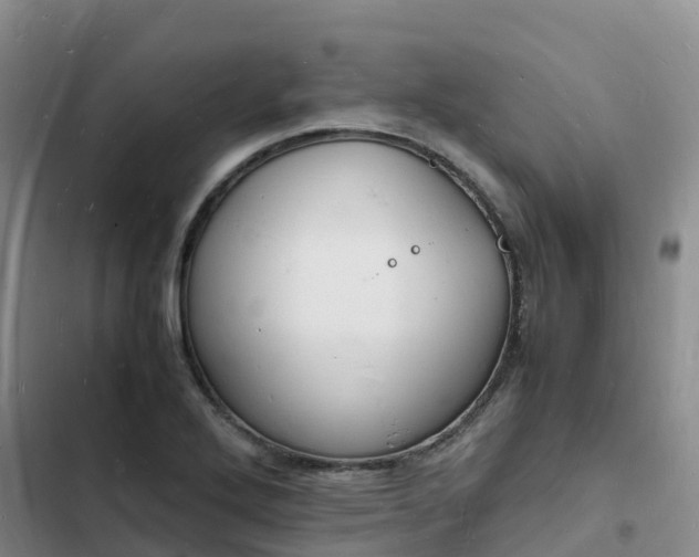 X0000102781272200808251107