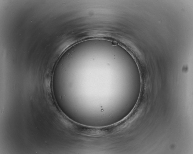 X0000102781273200808251107