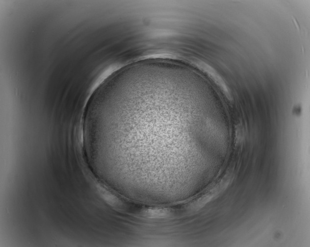 X0000102781274200808251107