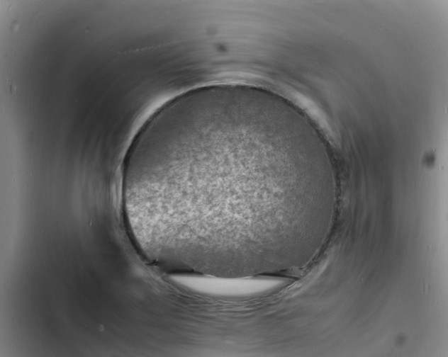 X0000102781275200808251107