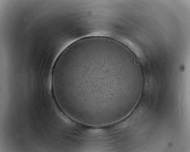 X0000102781276200808251107