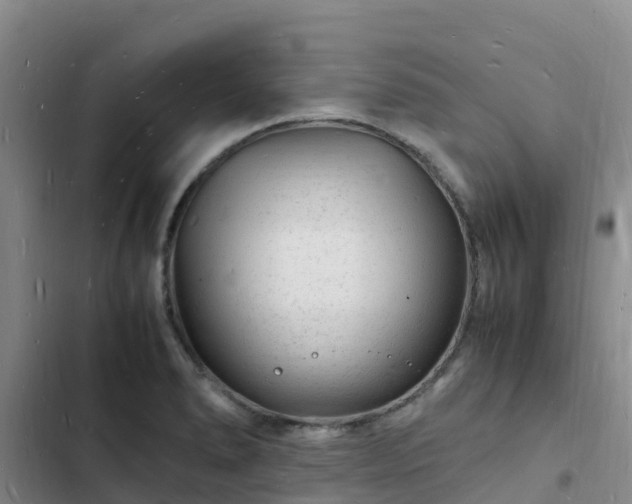 X0000102781278200808251107